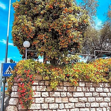 Ξενοδοχείο Ideal Μαλτσεζίνε